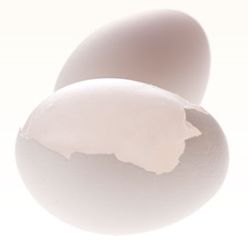 卵殻膜の画像